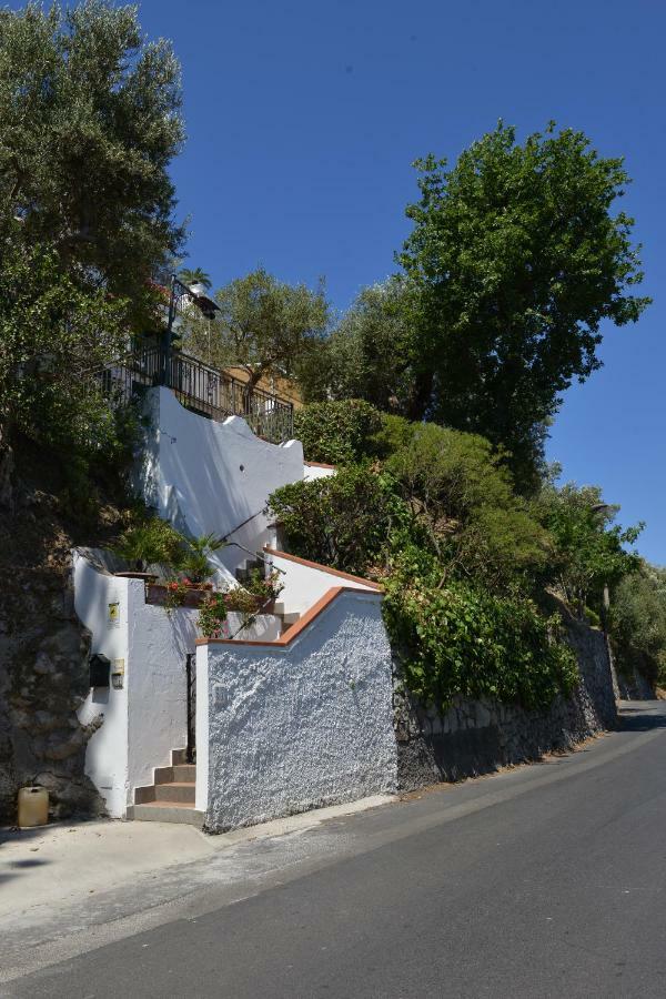 La Fenice -White House- Homeinsorrento- Massa Lubrense Exterior foto